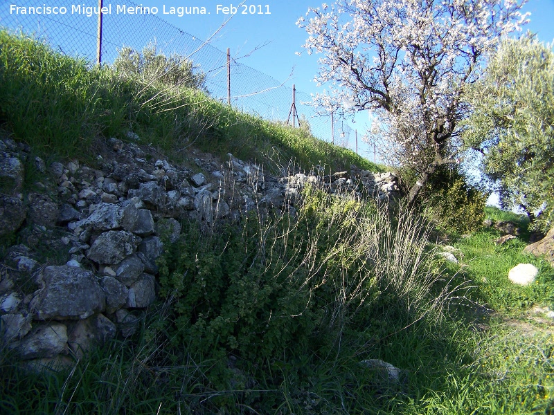Oppidum del Cerro Miguelico - Oppidum del Cerro Miguelico. Parte trasera