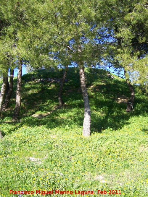 Oppidum del Cerro Miguelico - Oppidum del Cerro Miguelico. Torren esquinero