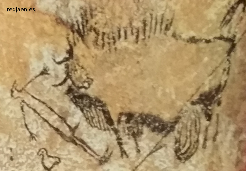Pinturas rupestres de Lascaux - Pinturas rupestres de Lascaux. Paleomna - Bedmar