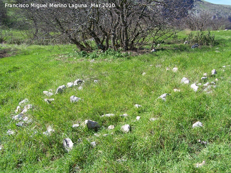 Crculos de piedras del Collado de los Bastianes - Crculos de piedras del Collado de los Bastianes. 