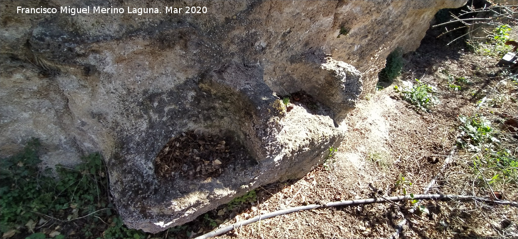 Cueva de la Zorra - Cueva de la Zorra. Sillas talladas