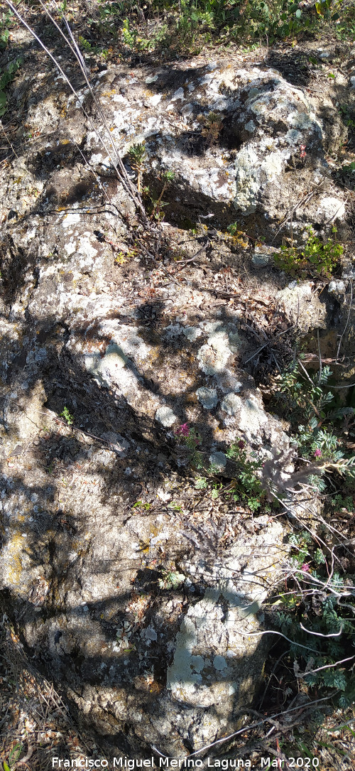 Cueva de la Zorra - Cueva de la Zorra. Escaleras talladas
