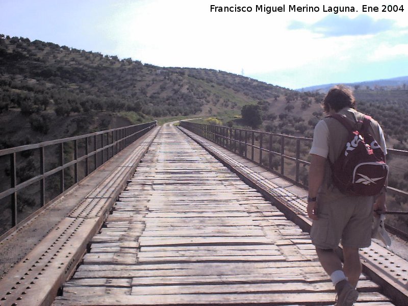 Viaducto del Arroyo de la Piedra del guila - Viaducto del Arroyo de la Piedra del guila. 