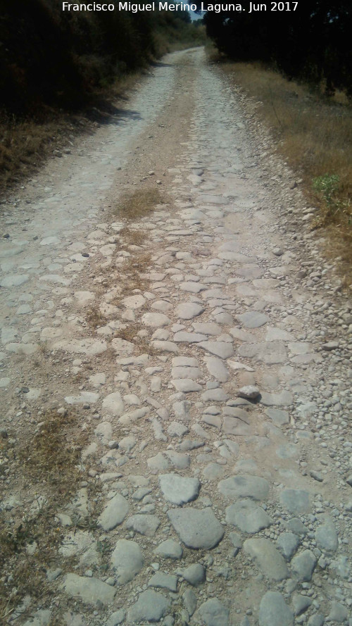 Calzada de Haza Nava - Calzada de Haza Nava. 