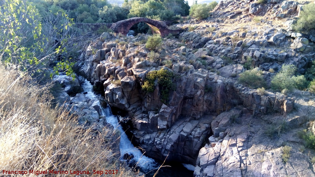 El Pilago - El Pilago. 