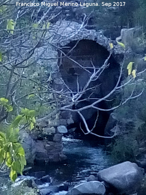 Molino del Pilago - Molino del Pilago. 