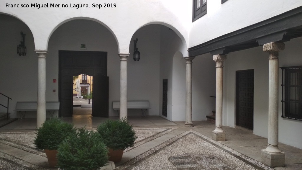 Casa de los Tiros - Casa de los Tiros. Patio