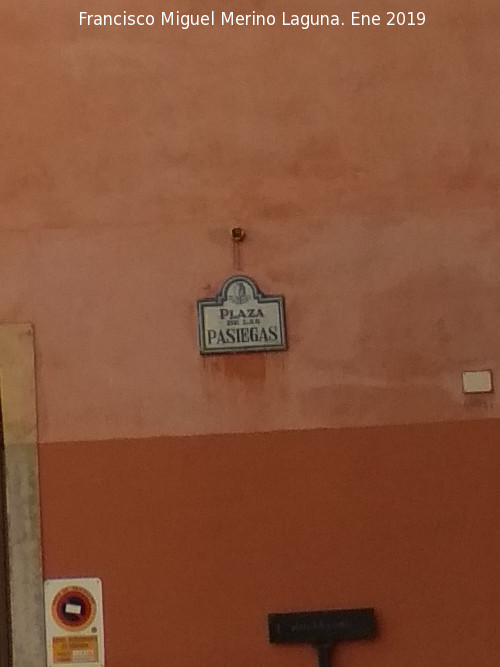 Plaza de las Pasiegas - Plaza de las Pasiegas. Placa