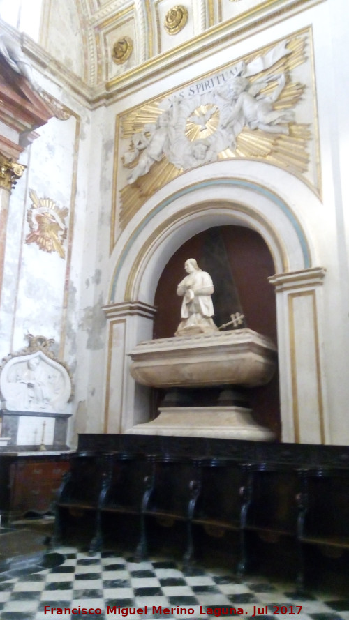 Catedral de Granada. Capilla de Virgen del Pilar - Catedral de Granada. Capilla de Virgen del Pilar. Lateral
