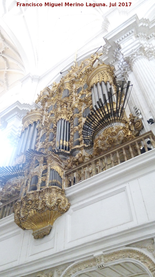 Catedral de Granada. rgano de la Epstola - Catedral de Granada. rgano de la Epstola. 