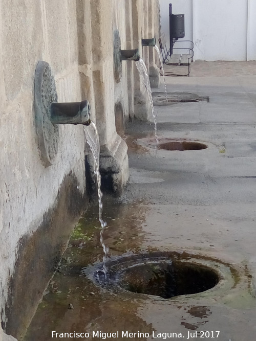 Fuente de Martingordo - Fuente de Martingordo. Caos