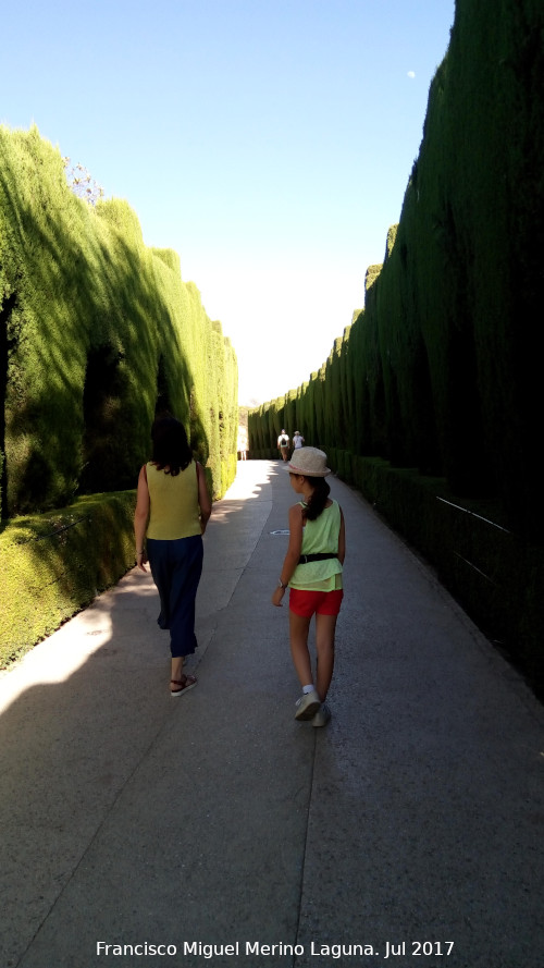 Alhambra. Paseo de los Cipreses - Alhambra. Paseo de los Cipreses. 