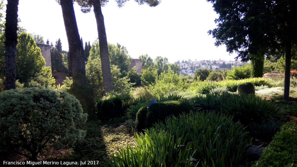 Generalife. Paseo de los Cipreses - Generalife. Paseo de los Cipreses. Vistas de las torres de la Alhambra con Granada al fondo