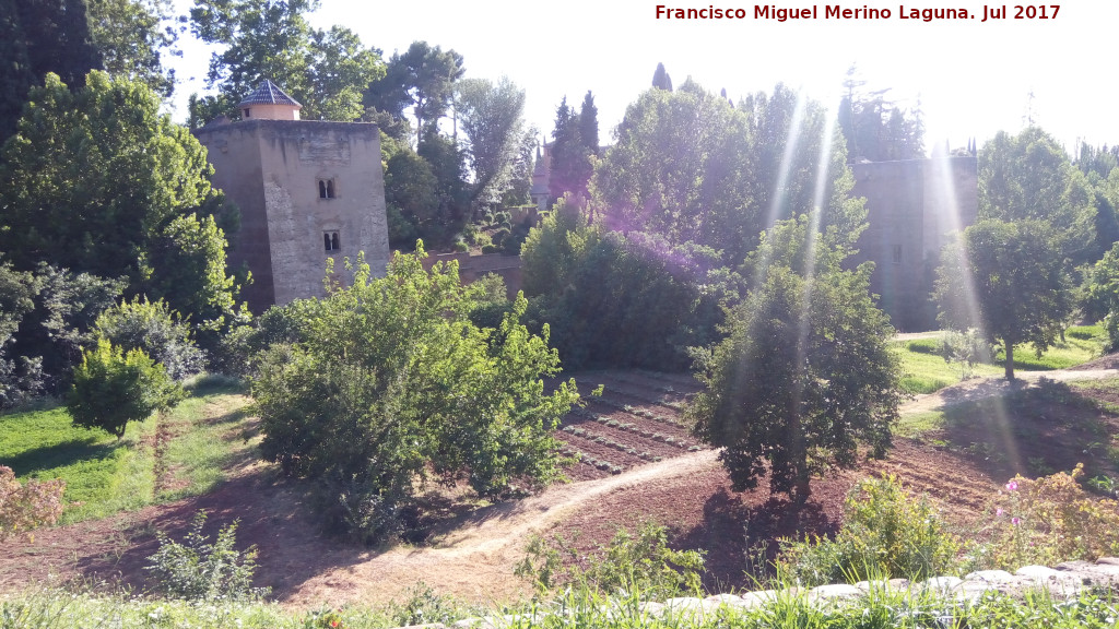 Generalife. Huerta Grande - Generalife. Huerta Grande. 