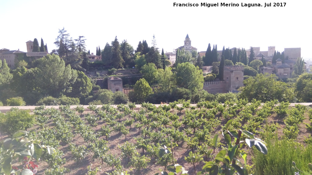 Generalife. Huerta Grande - Generalife. Huerta Grande. 