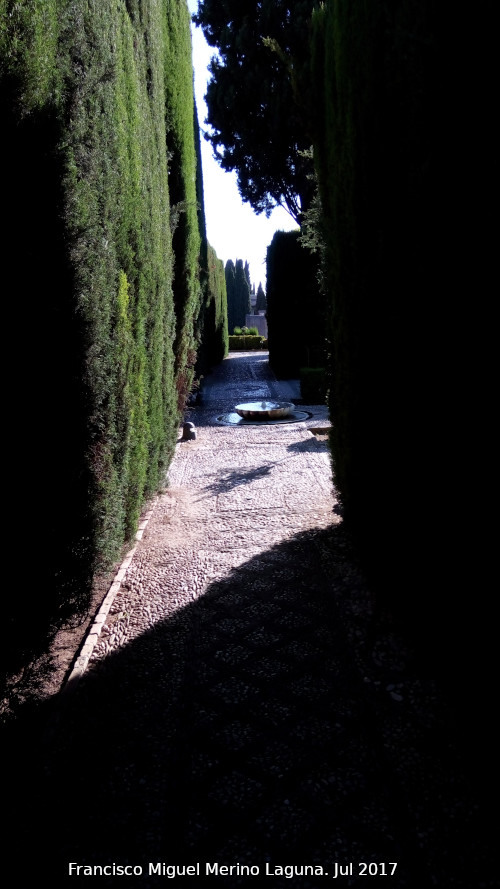 Generalife. Jardines Bajos - Generalife. Jardines Bajos. 