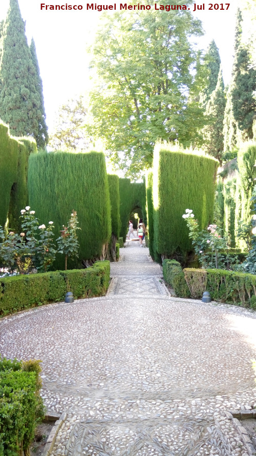 Generalife. Jardines Bajos - Generalife. Jardines Bajos. 