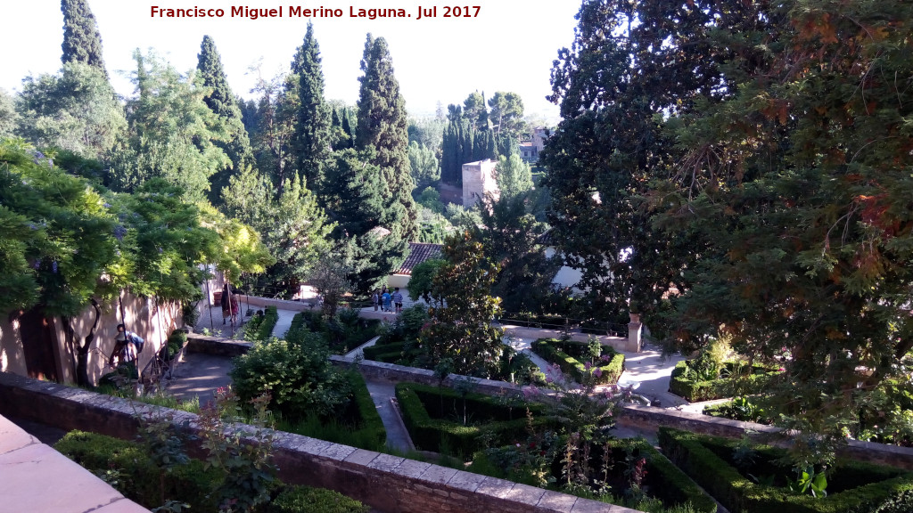 Generalife. Jardines Altos - Generalife. Jardines Altos. 