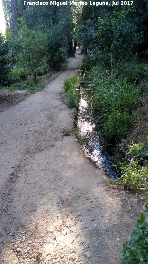 Generalife. Jardines Altos - Generalife. Jardines Altos. Acequia Real