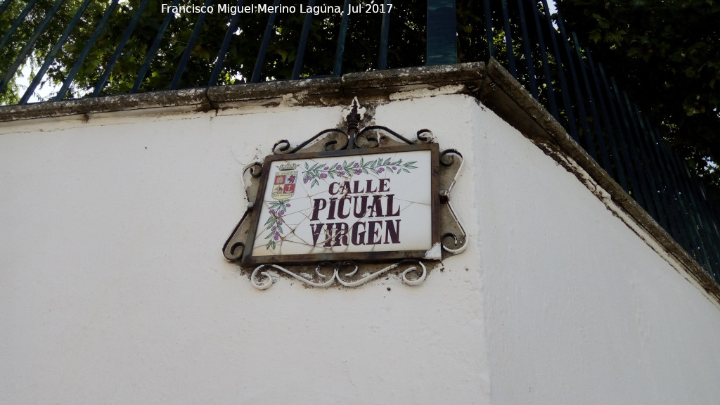 Calle Picual Virgen - Calle Picual Virgen. Placa