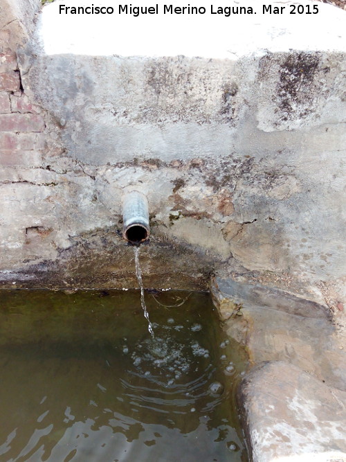 Fuente de Don Sancho - Fuente de Don Sancho. Cao