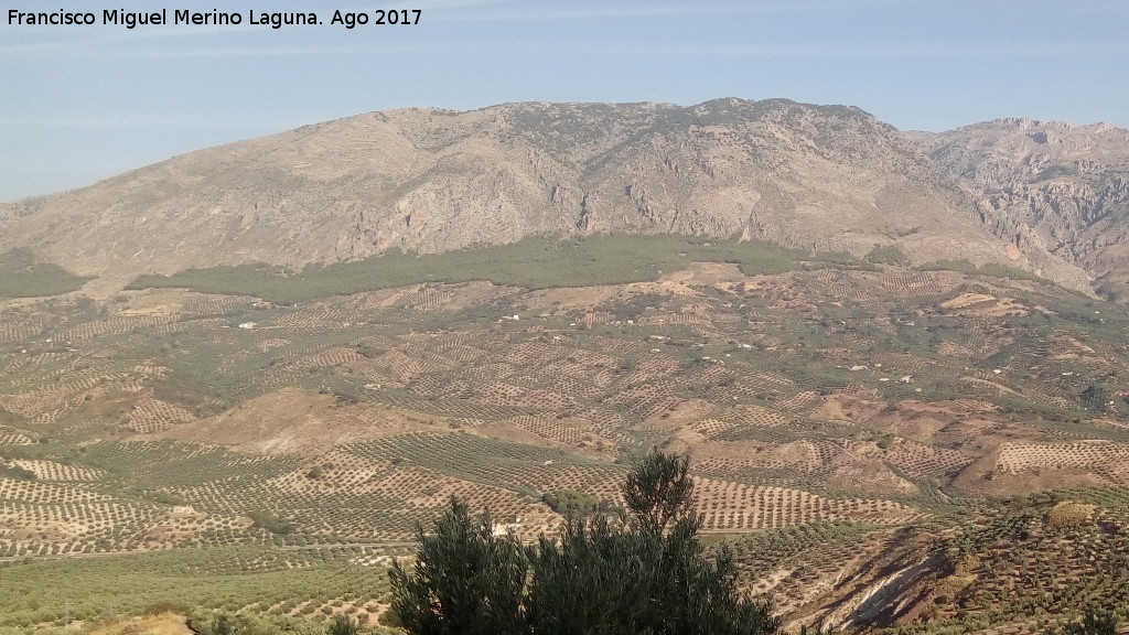 Cerro de Pealisa - Cerro de Pealisa. Desde el Morador de los Coscojares