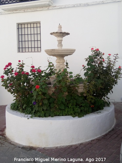 Fuente de la Avenida de Andalucia de Solera - Fuente de la Avenida de Andalucia de Solera. 