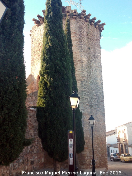 Castillo de las Torres Oscuras - Castillo de las Torres Oscuras. Torre Ochavada