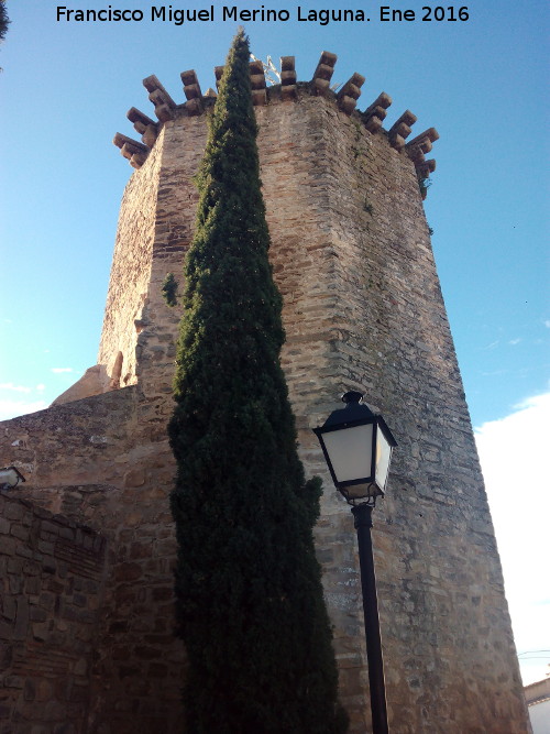 Castillo de las Torres Oscuras - Castillo de las Torres Oscuras. Torre Ochavada