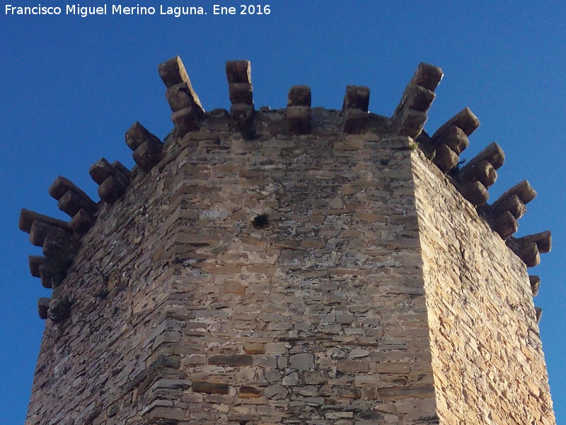 Castillo de las Torres Oscuras - Castillo de las Torres Oscuras. Matacn