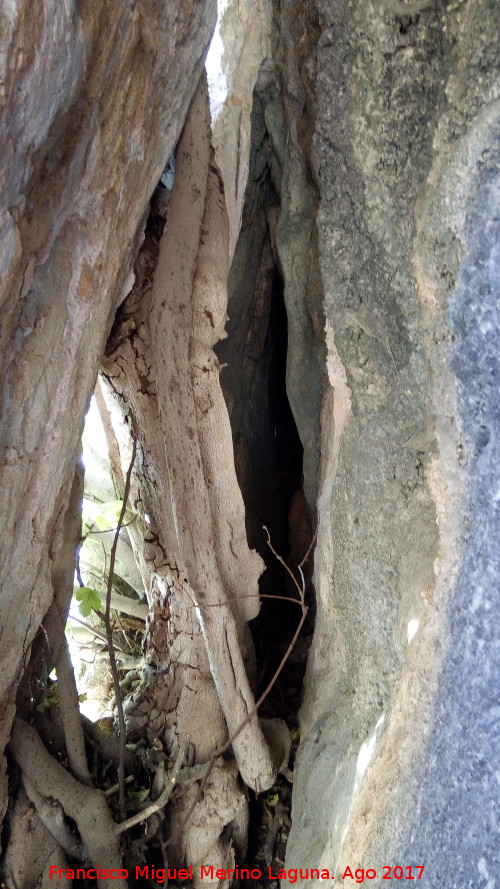 Pinturas rupestres del Abrigo del Cerrajo - Pinturas rupestres del Abrigo del Cerrajo. Cueva o grieta