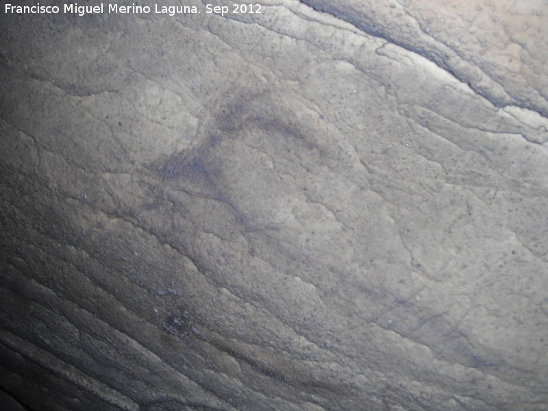 Pinturas rupestres de la Cueva del Morrn - Pinturas rupestres de la Cueva del Morrn. Cprido negro