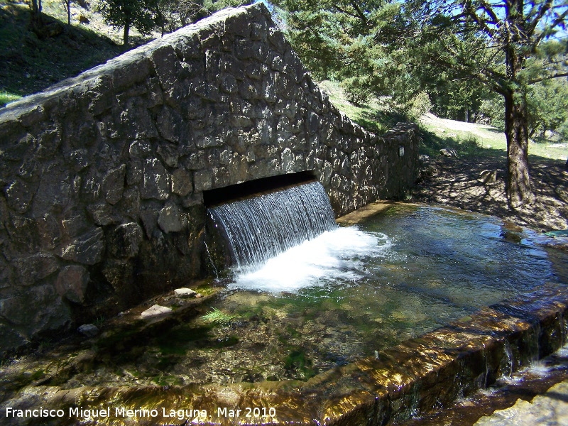 Fuenmayor - Fuenmayor. Nacimiento