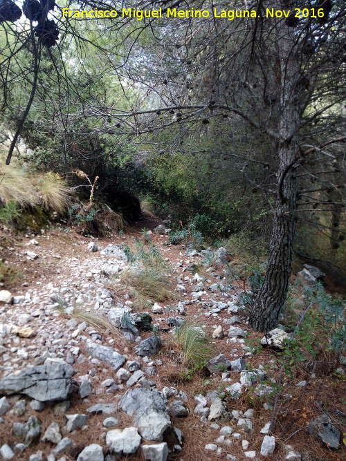 Aznaitn - Aznaitn. Camino de las Cuevas del Curro