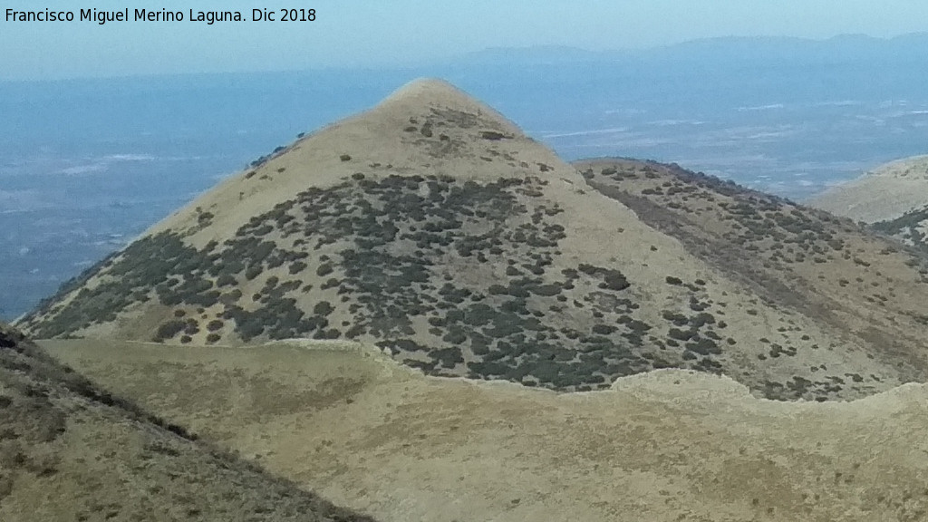 Monteagudo - Monteagudo. Desde el Cordel de la Fuente del Espino