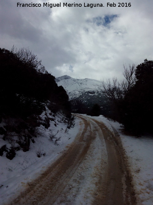 Sendero de Fuenmayor - Sendero de Fuenmayor. 