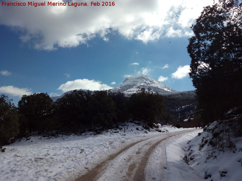 Sendero de Fuenmayor - Sendero de Fuenmayor. 