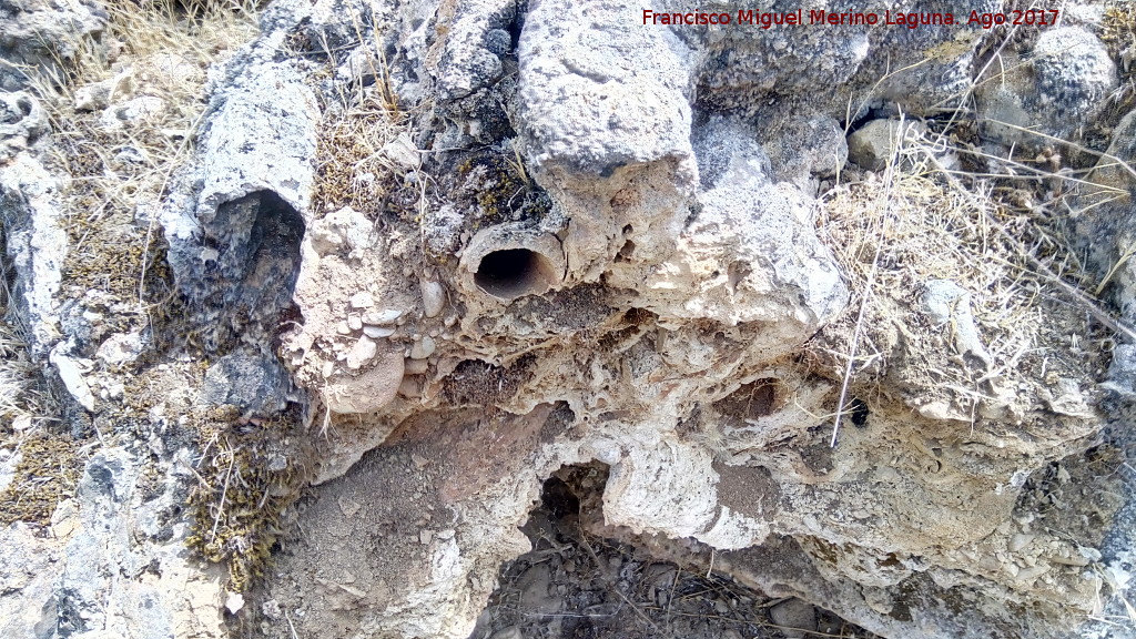 Yacimiento de Troncos fsiles del Tercero - Yacimiento de Troncos fsiles del Tercero. Cerca de la Cueva del Tercero