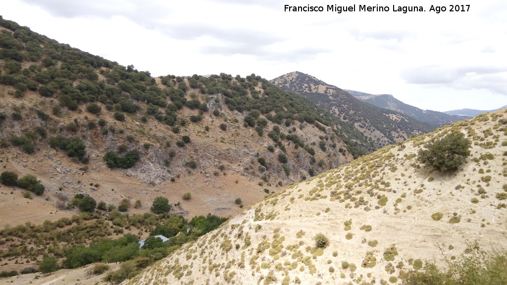 Barranco de los Alamillos - Barranco de los Alamillos. 