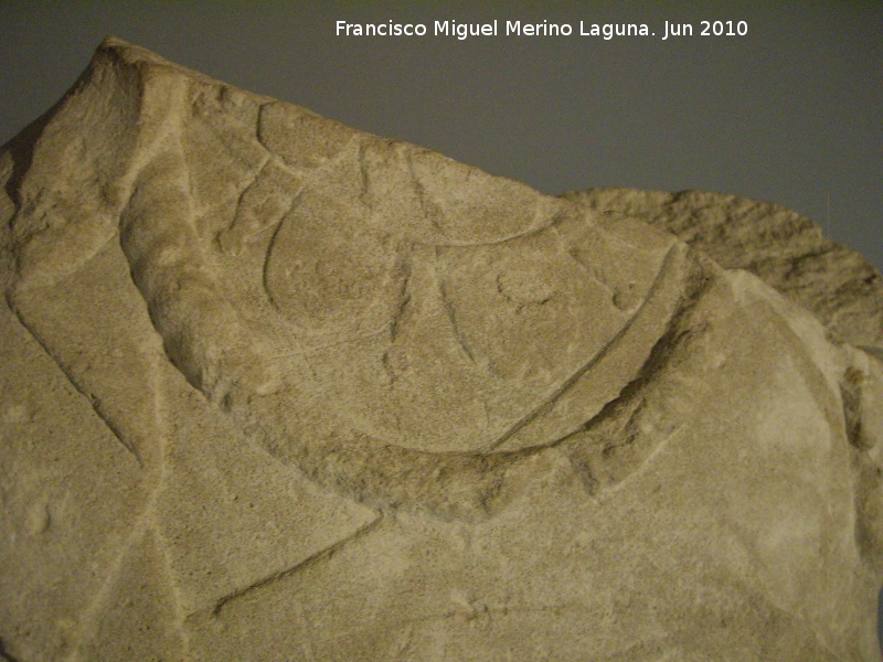 Dama ibrica de Torres - Dama ibrica de Torres. Collar. Museo Provincial de Jan