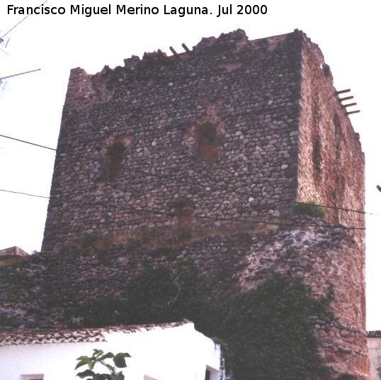 Castillo de Torres - Castillo de Torres. 