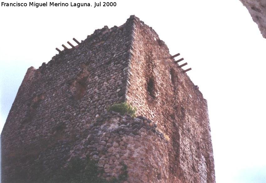 Castillo de Torres - Castillo de Torres. 