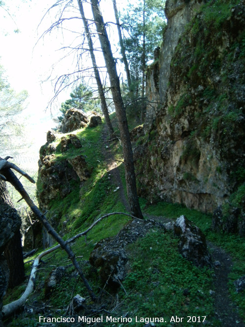 Cerro El Romeral - Cerro El Romeral. Tranco cercano a la Cueva de los Caballos