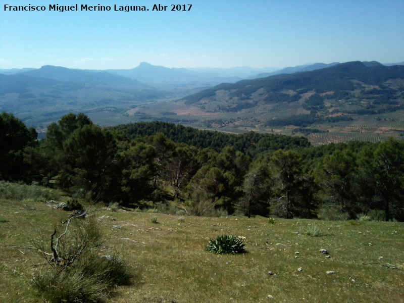 Cerro El Romeral - Cerro El Romeral. Vistas