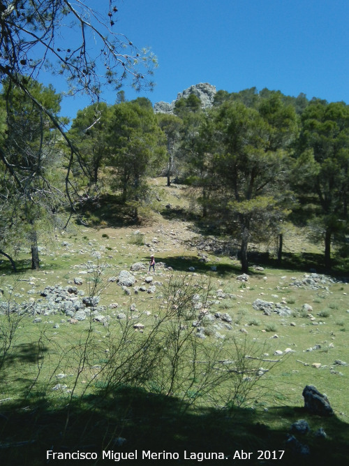 Cerro El Romeral - Cerro El Romeral. 