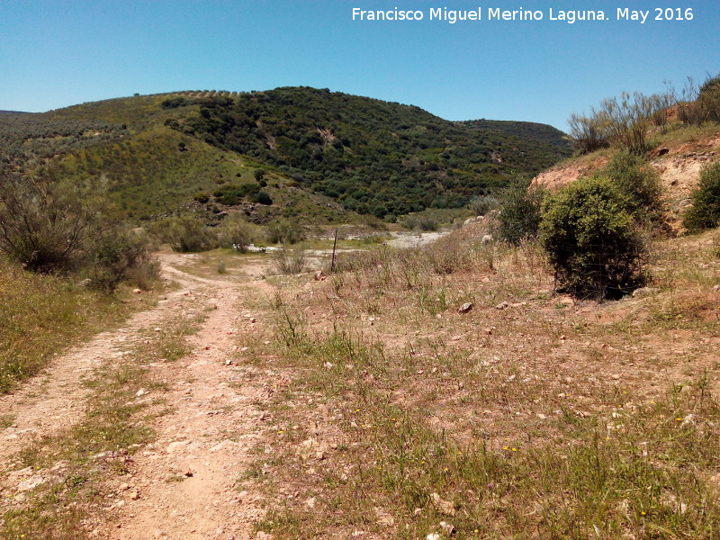 Vega de los Lobos y Azoreros - Vega de los Lobos y Azoreros. Paraje de La Zarza