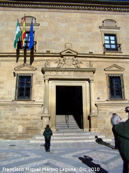 Palacio del Den Ortega - Palacio del Den Ortega. Portada