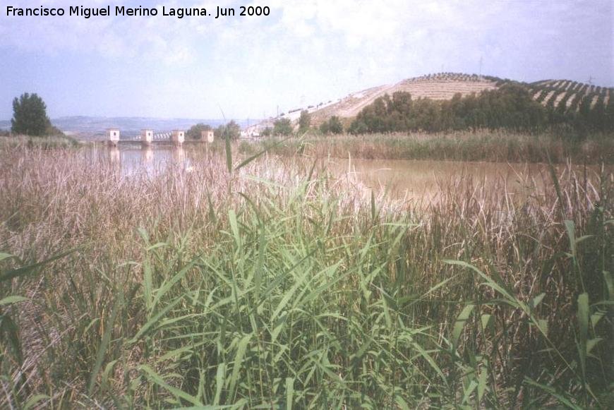 Paraje Natural Alto Guadalquivir - Paraje Natural Alto Guadalquivir. 