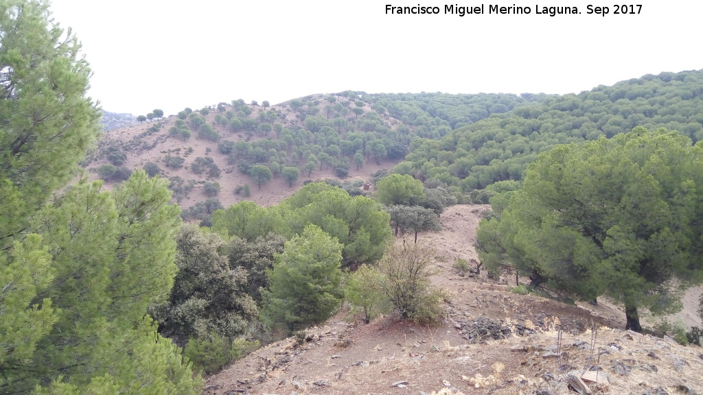 Paraje La Vernica - Paraje La Vernica. Desde el yacimiento de la Vernica