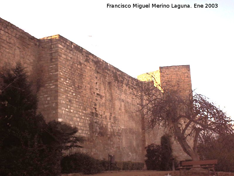 Puerta del Losal - Puerta del Losal. Arranque de la Muralla de San Milln desde el Torren de la Puerta del Losal